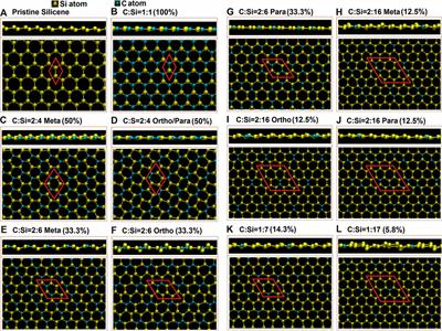 Diverse Properties of Carbon-Substituted Silicenes